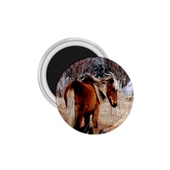 Pretty Pony 1 75  Button Magnet