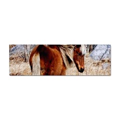 Pretty Pony Bumper Sticker by Rbrendes