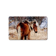 Pretty Pony Magnet (name Card)