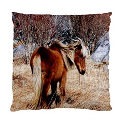 Pretty Pony Cushion Case (two Sided)  by Rbrendes