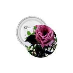 Rose 1 75  Button