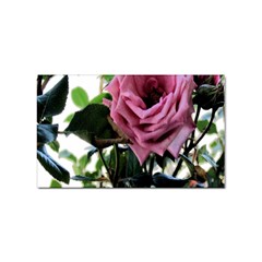 Rose Sticker 10 Pack (rectangle)