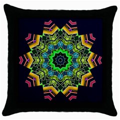 Big Burst Black Throw Pillow Case by Rbrendes