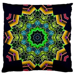 Big Burst Large Cushion Case (single Sided)  by Rbrendes