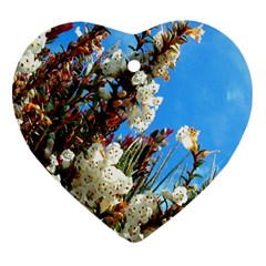 Australia Flowers Heart Ornament