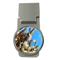 Australia Flowers Money Clip (round) by Rbrendes