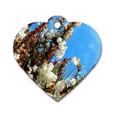 Australia Flowers Dog Tag Heart (one Sided)  by Rbrendes