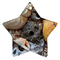 Beach Treasures Star Ornament