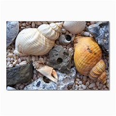 Beach Treasures Postcards 5  X 7  (10 Pack) by StuffOrSomething