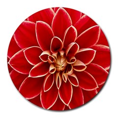 Red Dahila 8  Mouse Pad (round) by Colorfulart23