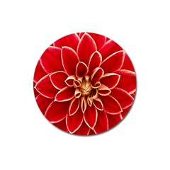 Red Dahila Magnet 3  (round) by Colorfulart23