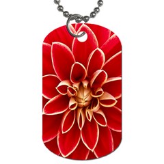 Red Dahila Dog Tag (two-sided)  by Colorfulart23