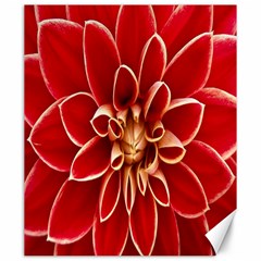 Red Dahila Canvas 20  X 24  (unframed) by Colorfulart23