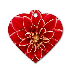 Red Dahila Dog Tag Heart (two Sided) by Colorfulart23