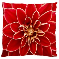 Red Dahila Large Cushion Case (two Sided)  by Colorfulart23