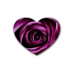 Deep Purple Rose Drink Coasters 4 Pack (heart)  by Colorfulart23