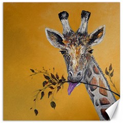 Giraffe Treat Canvas 20  X 20  (unframed) by rokinronda
