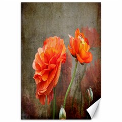 Orange Rose From Bud To Bloom Canvas 12  X 18  (unframed)