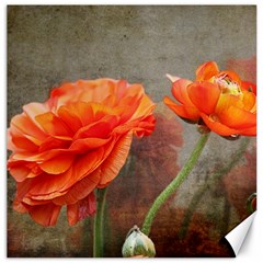 Orange Rose From Bud To Bloom Canvas 16  X 16  (unframed)