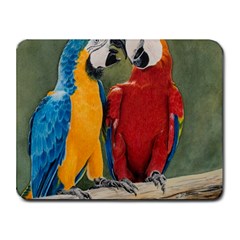 Feathered Friends Small Mouse Pad (rectangle) by TonyaButcher