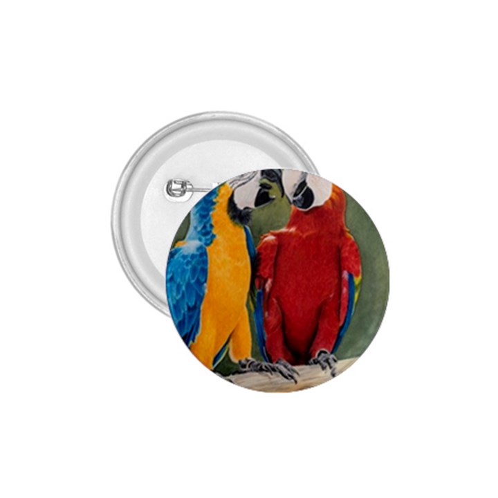 Feathered Friends 1.75  Button