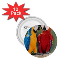 Feathered Friends 1 75  Button (10 Pack) by TonyaButcher