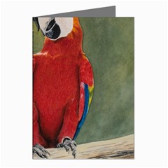 Feathered Friends Greeting Card (8 Pack)