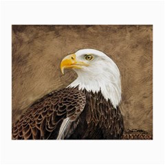 Eagle Glasses Cloth (small)