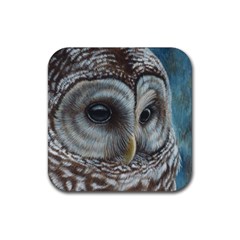 Barred Owl Drink Coaster (square) by TonyaButcher