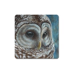 Barred Owl Magnet (square) by TonyaButcher