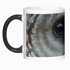 Barred Owl Morph Mug by TonyaButcher