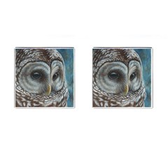 Barred Owl Cufflinks (square) by TonyaButcher