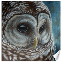 Barred Owl Canvas 12  X 12  (unframed) by TonyaButcher