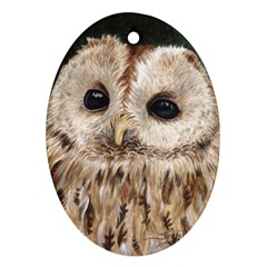 Tawny Owl Oval Ornament by TonyaButcher