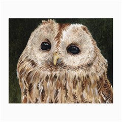 Tawny Owl Glasses Cloth (small) by TonyaButcher