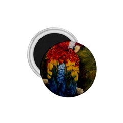 Preening 1 75  Button Magnet