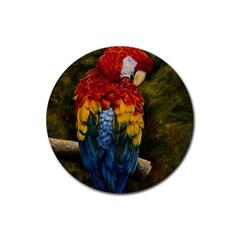 Preening Drink Coaster (round) by TonyaButcher