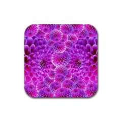 Purple Dahlias Drink Coasters 4 Pack (square) by FunWithFibro