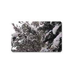 Snowy Trees Magnet (name Card) by DmitrysTravels