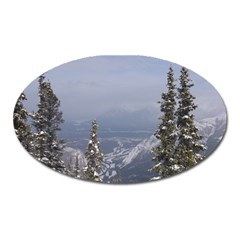 Trees Magnet (oval)