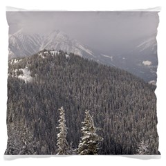 Mountains Large Cushion Case (two Sided) 