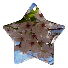 Sakura Star Ornament by DmitrysTravels