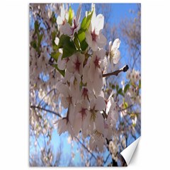 Sakura Canvas 12  X 18  (unframed) by DmitrysTravels