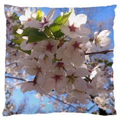 Sakura Large Cushion Case (two Sided)  by DmitrysTravels