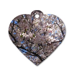Sakura Tree Dog Tag Heart (two Sided) by DmitrysTravels