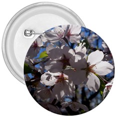 Cherry Blossoms 3  Button