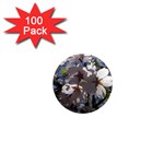 Cherry Blossoms 1  Mini Button Magnet (100 pack) Front