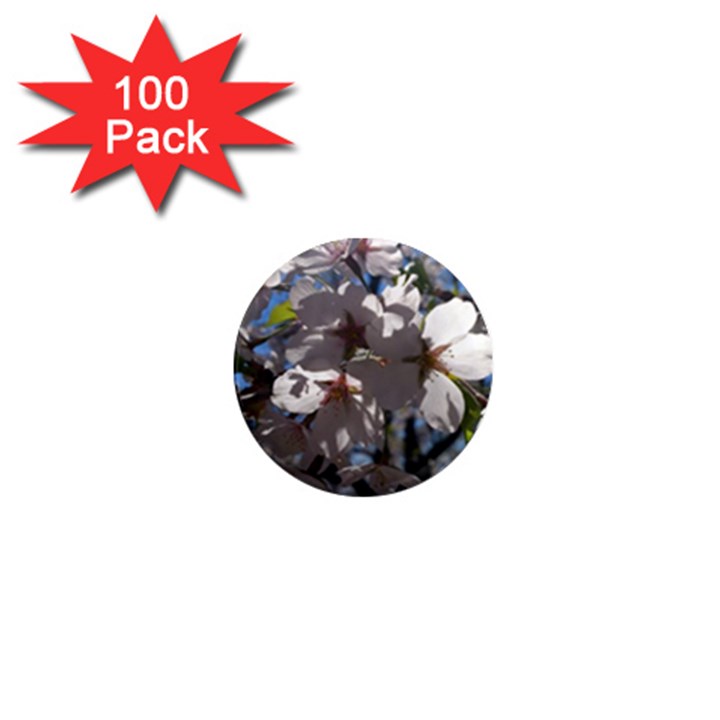 Cherry Blossoms 1  Mini Button Magnet (100 pack)