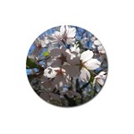 Cherry Blossoms Magnet 3  (Round) Front