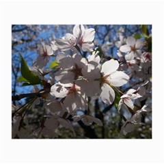 Cherry Blossoms Glasses Cloth (small)